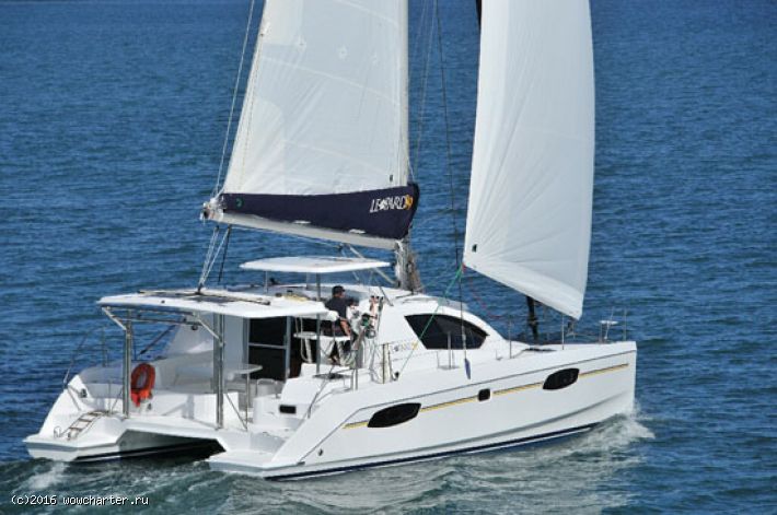 Leopard 384
