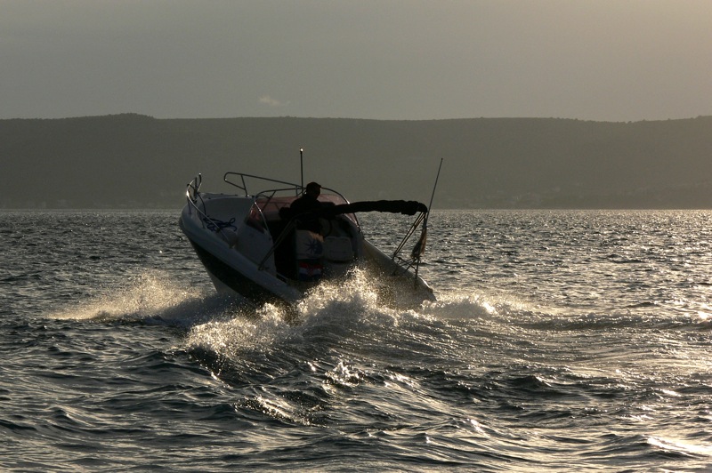  Seabird 655