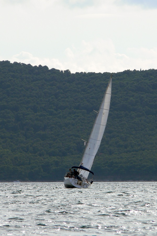 Elan 333