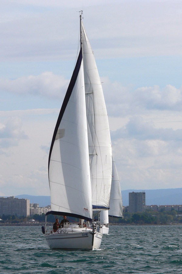 Elan 333