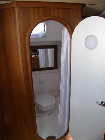 Salona 45