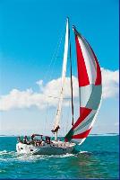 Gib Sea 51
