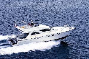 Princess 480