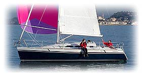 Elan 310