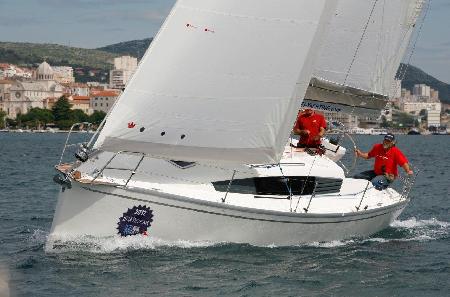 Delphia 31