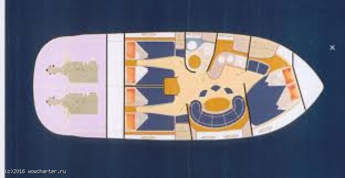 Salpa 385